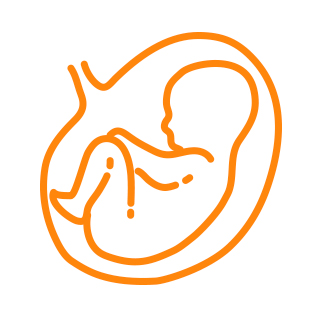 Ginecólogo en A-Coruña-embarazo obstetricia